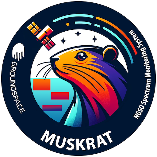 Muskrat